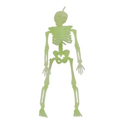 Skelet 6stk Selvlysende