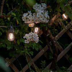 Smart Outdoor Light String Extension (5m)