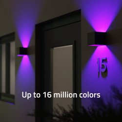 Smart Outdoor Wall Light V2, Black