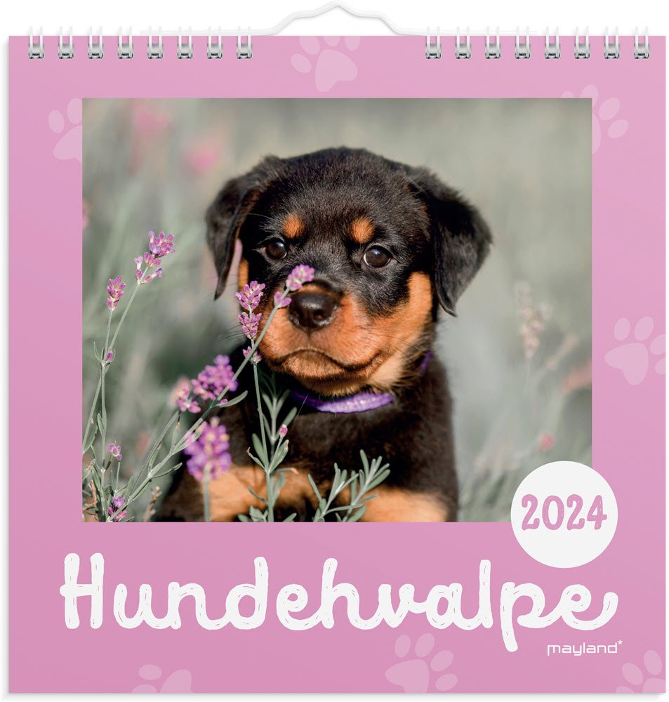 Vgkalender Hundehvalpe 2024