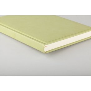 Ventura B5 Blank Kiwi