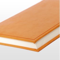 Ventura B5 Blank Orange