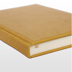 Ventura B5 Linieret Gul