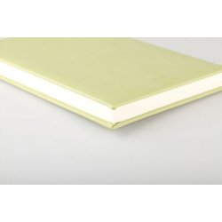 Ventura B5 Linieret Kiwi