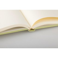 Ventura B5 Linieret Kiwi