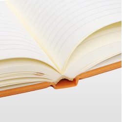 Ventura B5 Linieret Orange