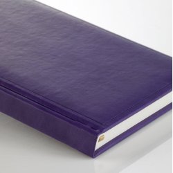Ventura B5 Purple Blank