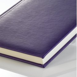 Ventura B5 Purple Lin