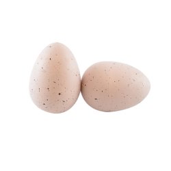 Voksende g XL med dinosaur