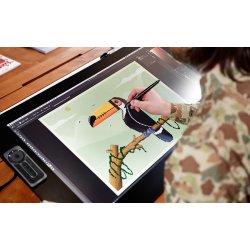 Wacom Cintiq Pro 24 Pen &amp; Touch Display, Black