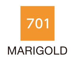 Zig Clean Color Pensel Pen 701 Marigold